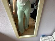 Grüne Leggins - Atzelgift