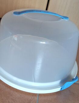 Kuchentransportbox / Tortentransportbox - Petersberg (Hessen)