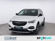 Opel Grandland X, 1.6 Ultimate Hybrid, Jahr 2021 - Uslar