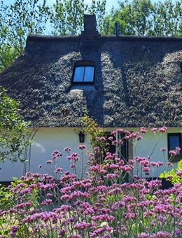 Reet auf dem Dach | Nordsee vor der Tür - Nordermeldorf