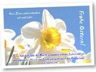 Christliche Osterkarte: Narzissenblüte I - Faltkarte - Wilhelmshaven Zentrum