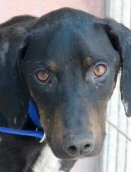 River -lebhaft und lieb- - Oldenburg