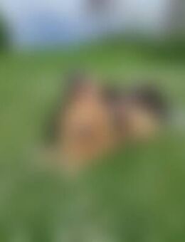 Nat*** - Mülheim (Ruhr)