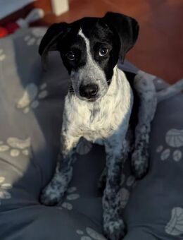 Kleine Juna sucht eine Familie - Grevenbroich