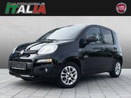 Fiat Panda, 1.2 More, Jahr 2018 - Regensburg