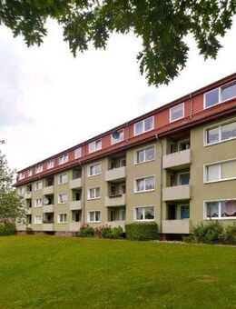 Helle Wohnung im EG frei! - Osnabrück