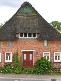 Lebe deinen Traum! - Schafstedt