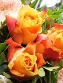 Suche Frau zum Heiraten in 08056