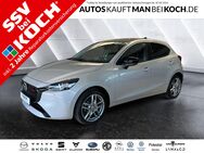 Mazda 2, e G 90 M HYBRID Homura, Jahr 2023 - Ludwigsfelde