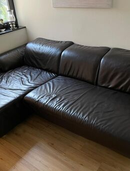 Designer Leder Couch - Koinor - Braun - Walluf