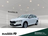 Skoda Scala, Cool Plus 85kw TDI, Jahr 2019 - Niestetal