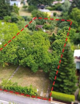 Baugrundstück in Teltow - Teilung in 2 Parzellen genehmigungsfähig - Teltow