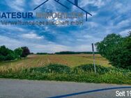 Baugrundstück mit Landwirtschaftlicher Fläche in Bolsehle zu verkaufen - Husum (Niedersachsen)