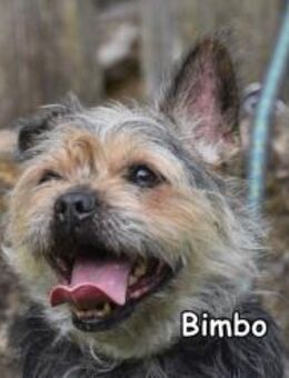 BIMBO - Donzdorf