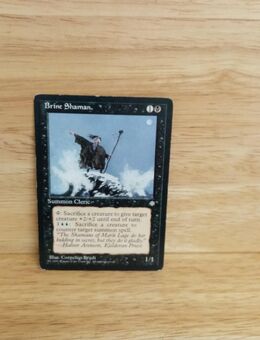 Magic The Gathering-Brine Shaman - Nörvenich
