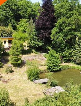 Wochenendhaus mit Fischweiher in Ortsrandlage von Pluwig - Pluwig