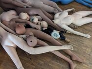 Verschenken alte Dolls aus dem CyBrothel Berlin - Berlin Mitte