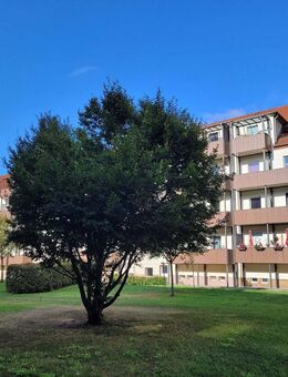 Wahren - ruhige 2-Raumwohnung mit Tageslichtbad, Wintergarten & großzügigem Gemeinschaftsgarten - Leipzig
