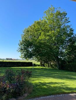 !Neuer Preis! ** schöner Bungalow mit Weitblick und Ruhe** Nahe Büsum** - Westerdeichstrich