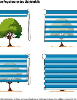 Doppelrollo Welle, GARESA, Lichtschutz, ohne Bohren, freihängend, Klemmfix, dekorativ, stufenlos verstellbar