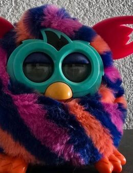Furby - Ehingen (Donau)