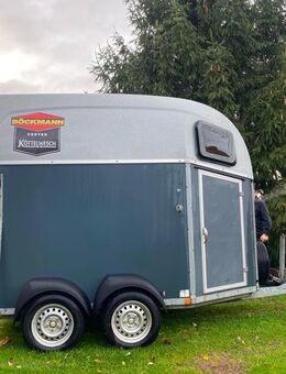 Bockmann Pferdeanhänger zu verkaufen - Bedburg-Hau