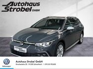 VW Golf Variant, 2.0 TDI Alltrack, Jahr 2024 - Schnaittach