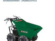 Dumper Parkside - Ilsenburg (Harz) Zentrum