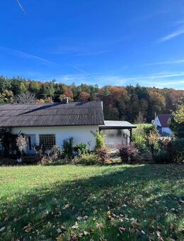 Einfamilienhaus mit Einliegerwohnung - Mitten im Grünen - Sinzing