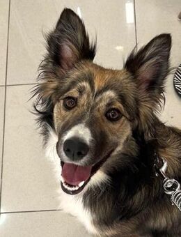 NALA kleine verschmuste Lady - Algermissen