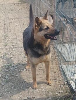 Pauline wartet schon so lange - Laufen