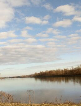 Suche einen Mann für eine monogame harmonische Beziehung - Dingolfing