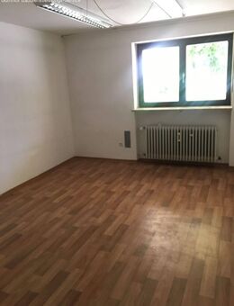 2 Zimmer -- Duschbad- UG Wohnung in Neustadt-WN - Neustadt (Waldnaab)