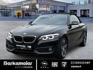 BMW 220, i Cabrio Sport Line Sensoren, Jahr 2018 - Münster