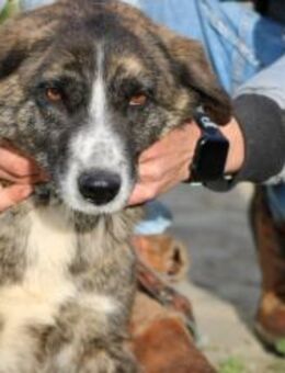 Chenoa - kinderlieb u. verspielt - Lohra