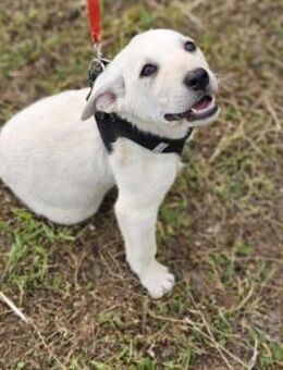 Arya sucht ein Ort voller Liebe - Berlin