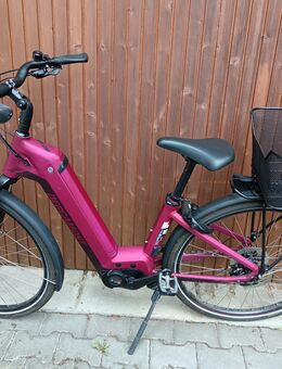 Pedelec / E-Bike / Trekking Fahrrad - Oberhausen (Landkreis Neuburg-Schrobenhausen)