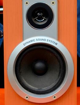 1- Stück !, 2-Wegelautsprecher LXS-221, 6Ω, max. 40 W, 70-18.000 Hz, 86dB - Kiel Ellerbek