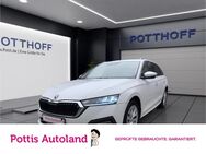 Skoda Octavia, 2.0 TDI Combi Style, Jahr 2022 - Hamm