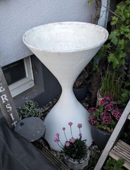 Blumenspindel oder Diabolo - Ginsheim-Gustavsburg