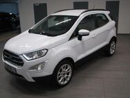 Ford EcoSport Titanium 1.0 EcoBoost - Bad Oeynhausen