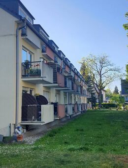 1-Zimmer-Apartment in ruhiger Lage im Fasangarten - München