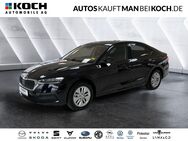 Skoda Octavia, 1.5 TSI Ambition Klimaat, Jahr 2024 - Ludwigsfelde