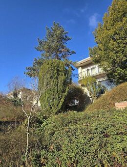 Anwesen mit fantastischer Aussicht - Triefenstein