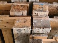 Euro Paletten aus Holz ☝️ zu verschenken ☝️ Nur Abholung ☝️ - Hessisch Oldendorf