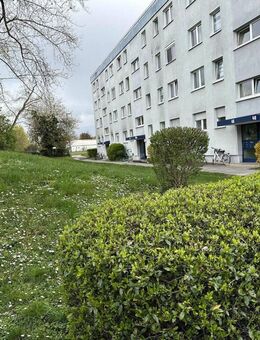 4 Zimmer Wohnung in Mainz Bretzenheim + Exklusives Angebot einer weiteren 4 Zimmer Wohnung - Mainz