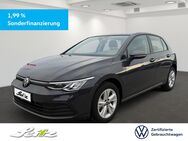 VW Golf, 2.0 TDI VIII Life, Jahr 2024 - Weingarten