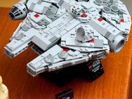 Millennium Falcon von Star Wars Lego 75375 - Hünstetten