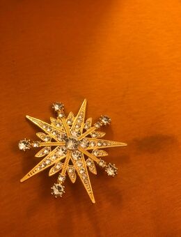 Vergoldendes Brosche zu verschenken in Dresden oder Versand - Dresden