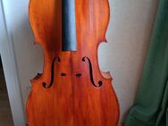 Antikes Cello J.T.L. "medio fino" ca. 1890 - Radolfzell (Bodensee) Zentrum